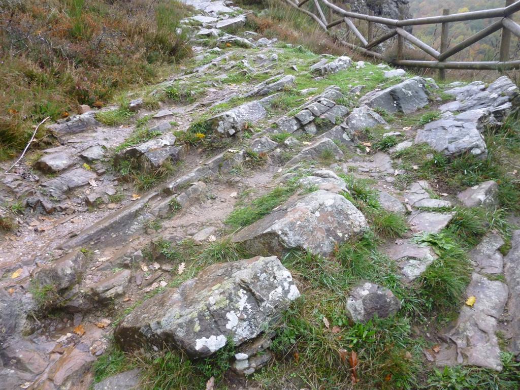 Afloramiento de areniscas rojizas del Buntsandstein.