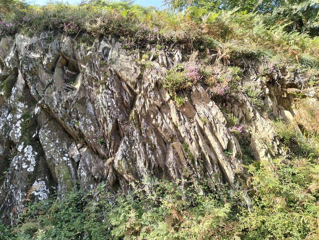 Afloramiento de esquistos devónicos.