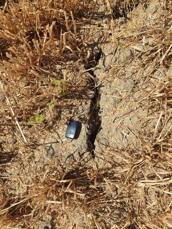 Vertisol donde se observa el agrietamiento superficial característico en la estación seca. Fuente: Cortesía de Javier Eslava (Negociado de Suelos y Climatología del Departamento de Medio Ambiente del Gobierno de Navarra).