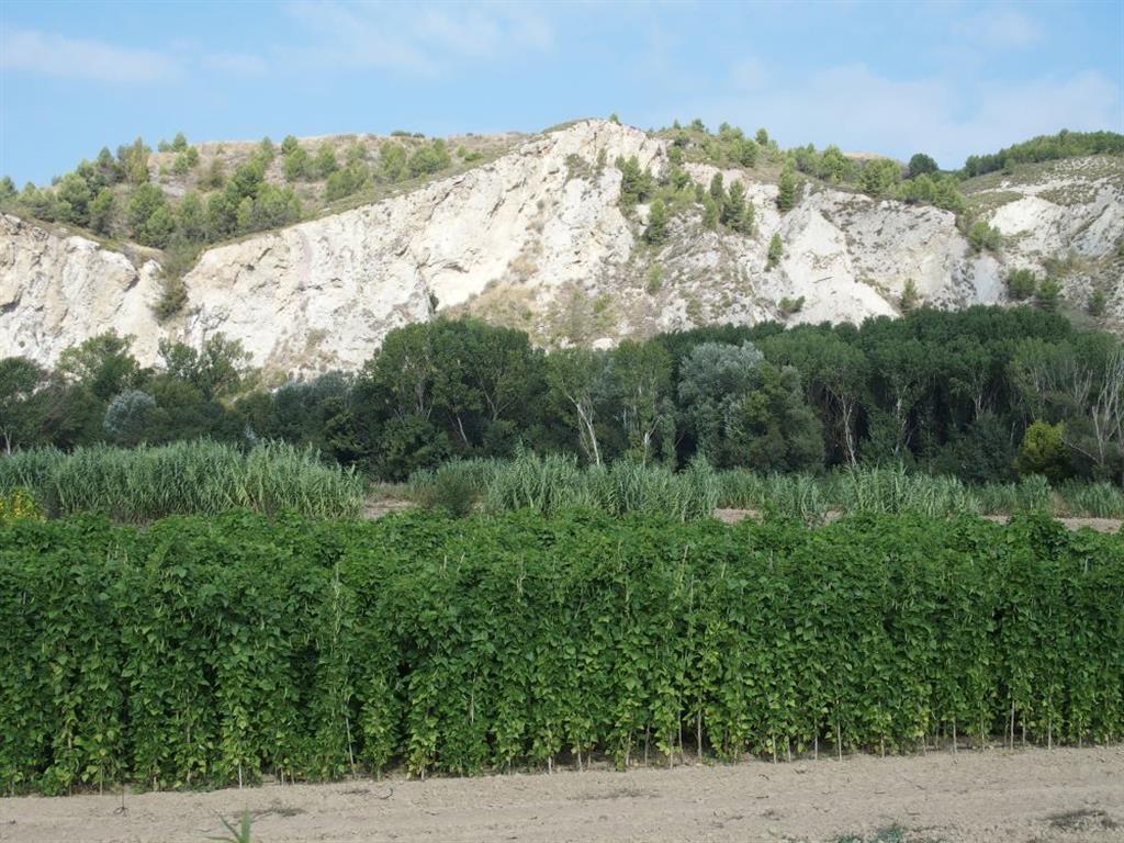Escarpe rocoso cerca de la localidad de Mañeru, formado por los yesos de la Fm. Yesos de Puente La Reina.