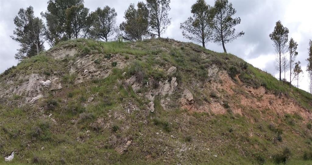 Contacto mecánico entre la formación yesífera oligocena y materiales detríticos miocenos de tonos anaranjados. Camino de Obanos a la ermita de Arnotegui.