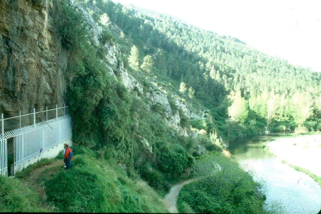 Cova Negra, vista que muestra la situación de la cavidad sobre el río Albaida (foto Jesús F. Jordá Pardo)