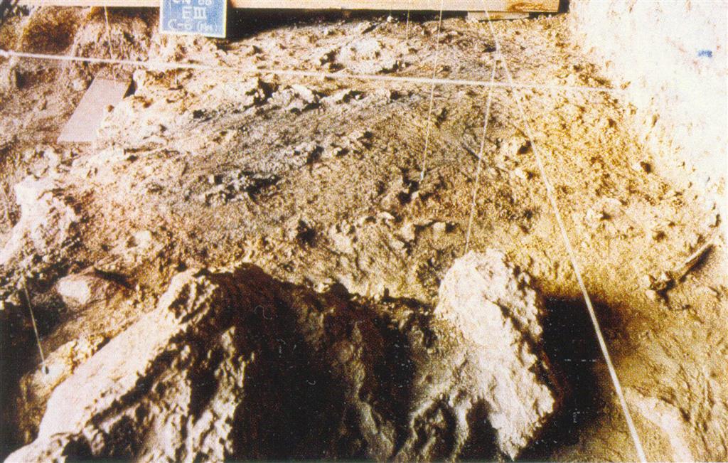 Cova Negra, vista de las excavaciones realizadas en el sector O (Villaverde, V. 2001)