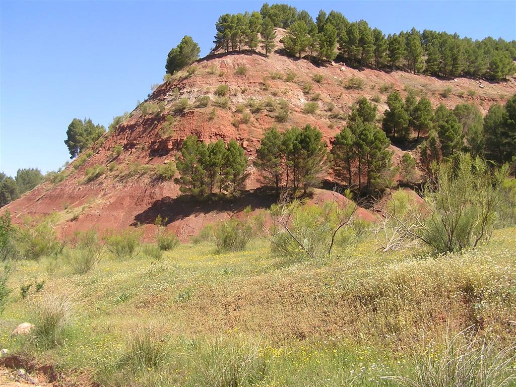 Triásico de Alcaraz, con estratos horizontales, perteneciente a la Cobertera Tabular de la Meseta (C.T.M.)