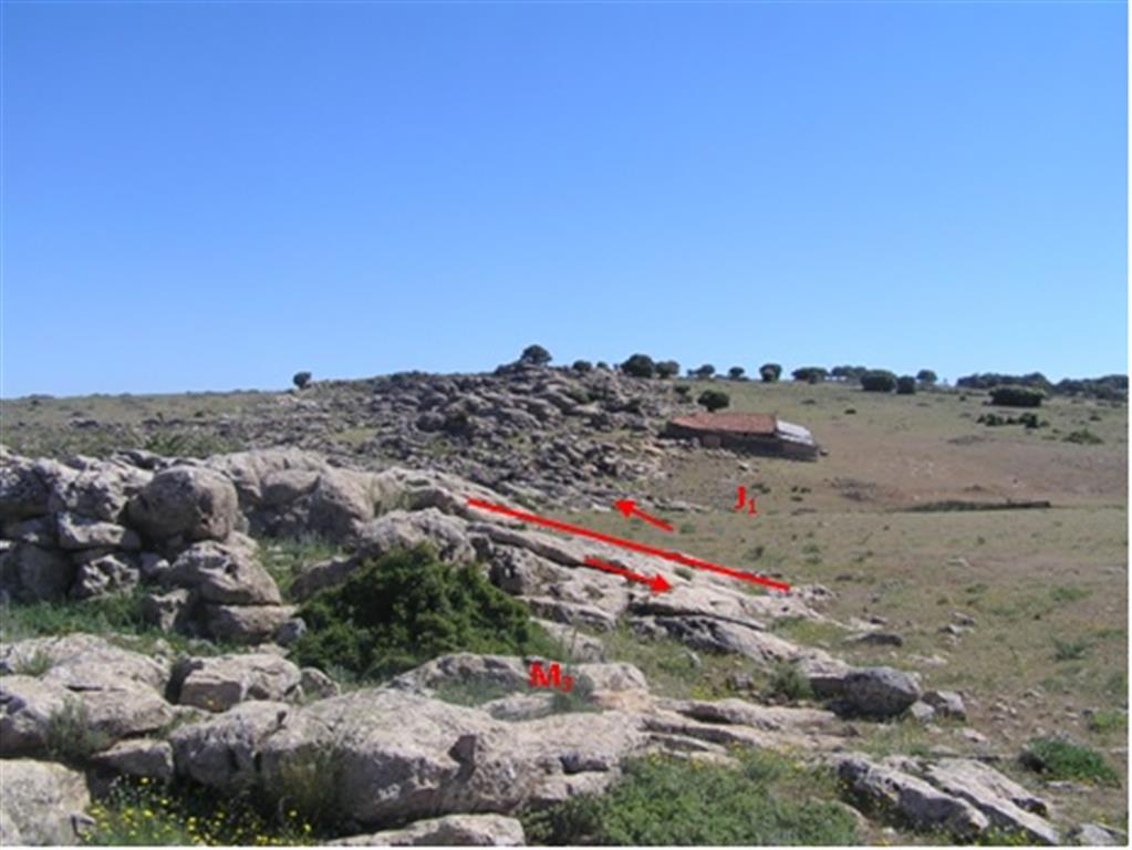 Escama de vergencia norte, en la que montan las dolomías rojizas del Lías (J1: derecha) sobre las calcarenitas grises del Mioceno (M3:izquierda).