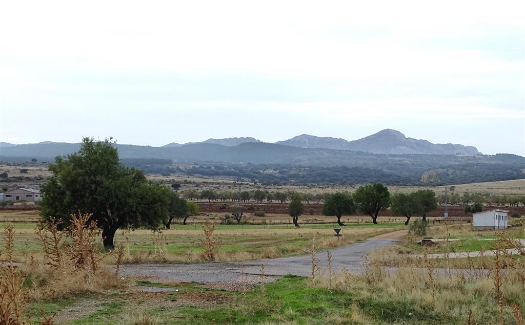 Vista panorámica desde Vianos, del frente de escamas del Prebético