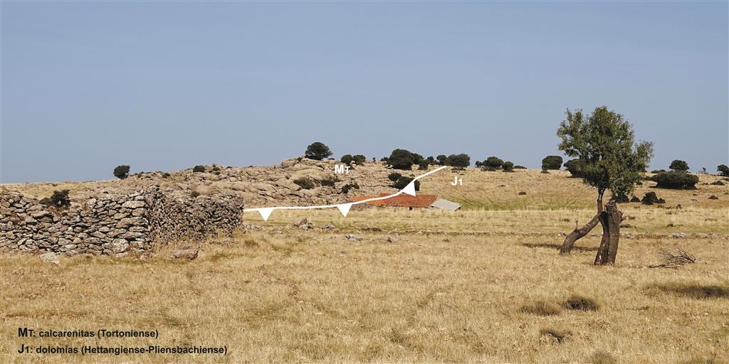 Dolomías de la Fm Carretas (Sinemuriense-Pliensbachiense) cabalgando sobre calcarenitas del Tortoniense en el pico de la Tarayuela