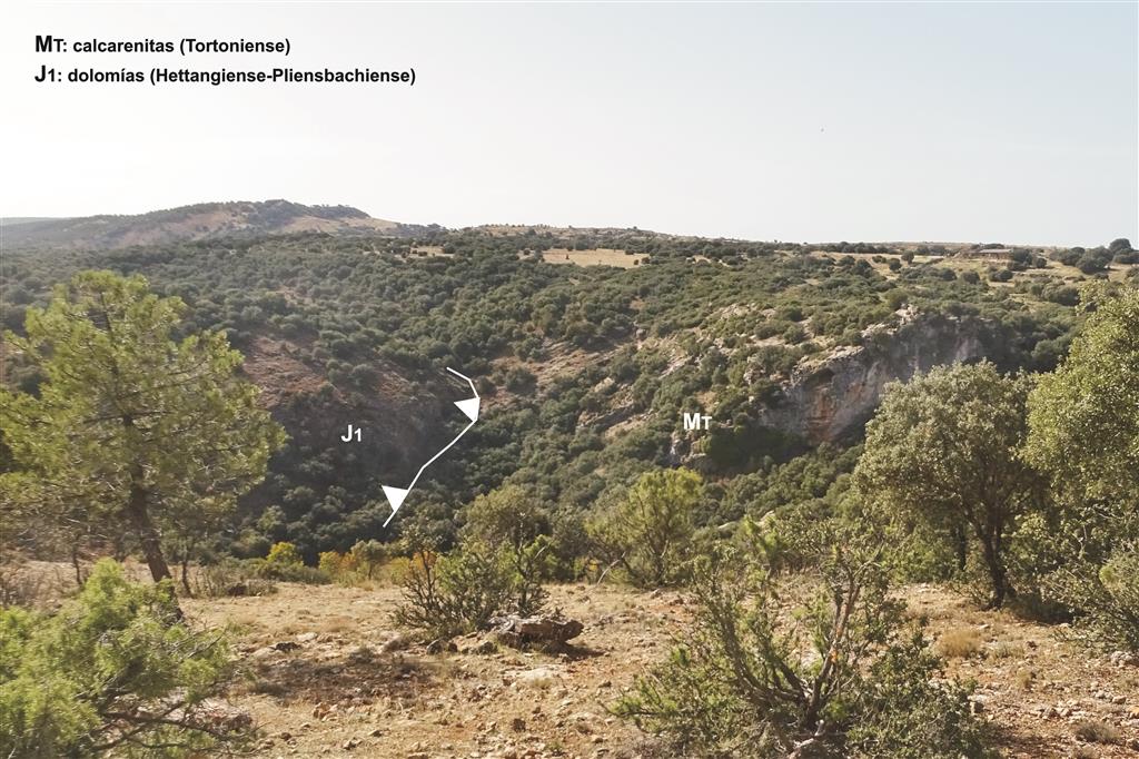 Cabalgamiento de las dolomías de la Fm Carretas (Sinemuriense-Pliensbachiense) sobre las calcarenitas del Tortoniense en el km 7 de la carretera A-23