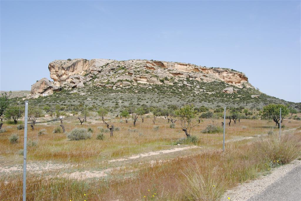 Vista del Tolmo desde el SE. Se aprecian las abundantes covachas en las biocalcarenitas y, a la izquierda el paleo desprendimiento del flanco sur que afectó a la acrópilis ibero-romana