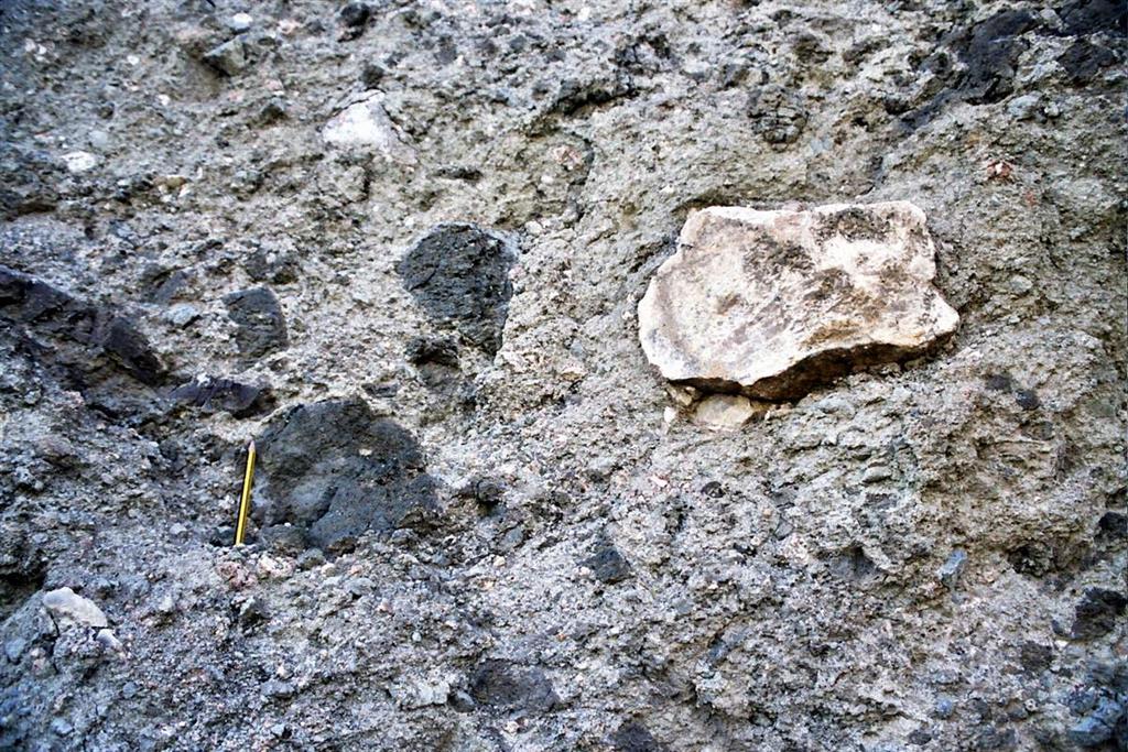 Brechas freatomagmáticas con componentes volcánicos y de materiales sedimentarios del substrato del edificio volcánico de Cancarix. En las canteras situadas al pie del domo-colada de la Sierra de las Cabras (Foto J.L. Brandle)