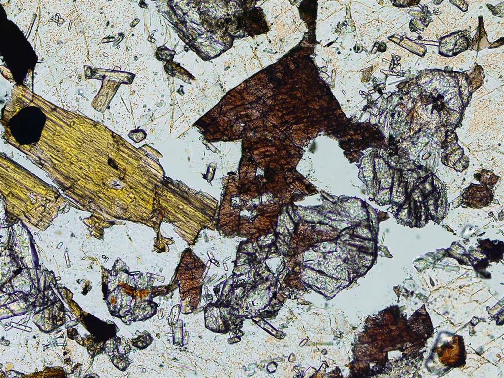 Otro aspecto de cancarixita; cristales de richterita, clinopiroxeno diopsídico y olivino en base de sanidina poiquilítica. (NPx4). Localidad, Cancarix. (Muestra 10881-ILM) Foto: J.L. Brändle