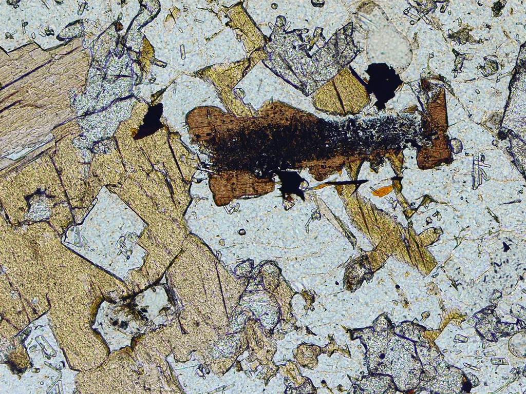 Flogopita desestabilizada, richterita y cristal rectangular de sanidina incluido en richterita, en cancarixita. (NPx10). Localidad, Cancarix. (Muestra 10874-ILM) Foto: J.L. Brändle