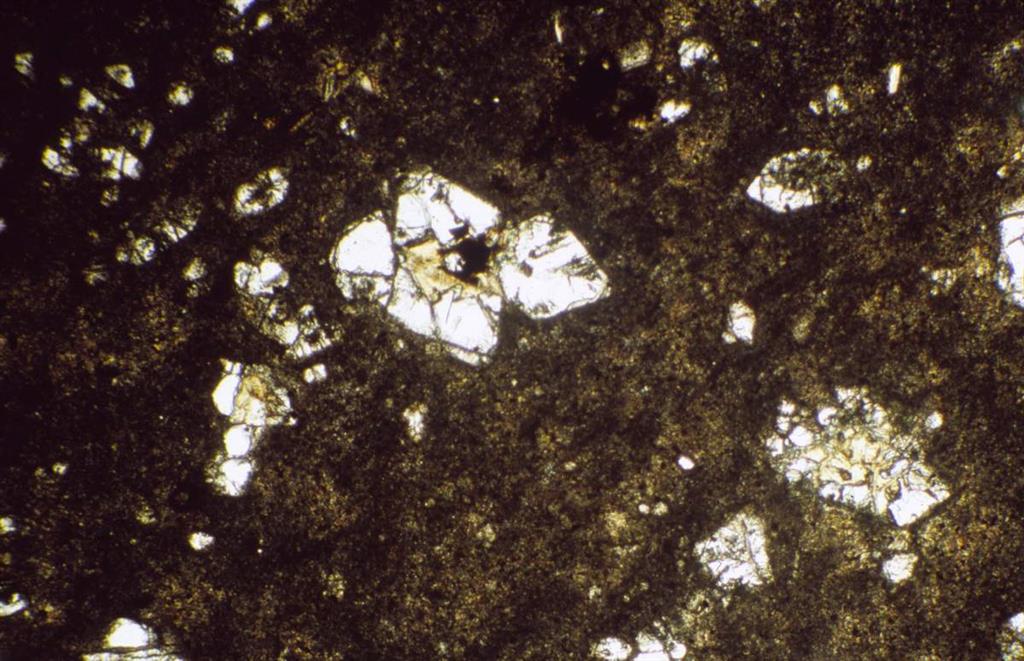 Fenocristales de olivino alterados parcialmente y fenocristales de biotita en matriz desvitrificada en cancarixita (NPx2.5). Localidad, Cancarix (Muestra 106005-DP) Foto: J.L. Brändle