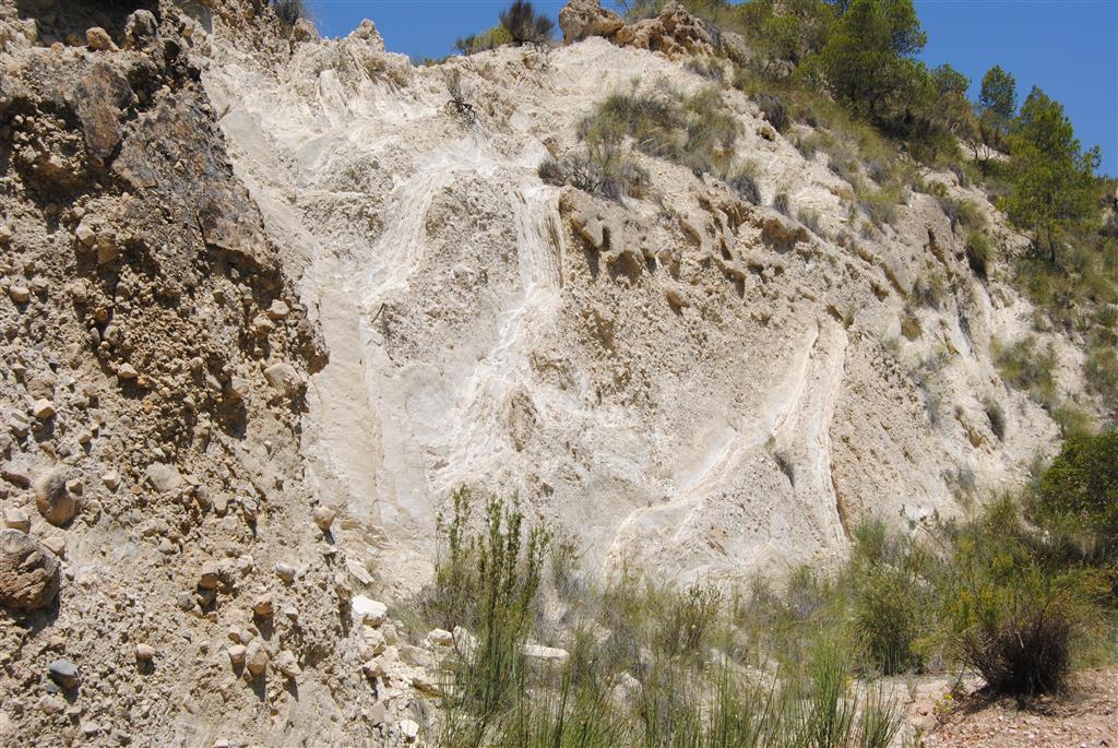 Verticalización de los conglomerados y margocalizas con evaporitas del Tortoniense superior-Messiniense, en el contacto con el diapiro. Rambla de la Teja
