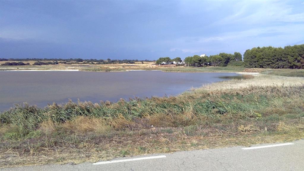 Laguna del Saladar. Se encuentra delimitada por una valla metálica en parte de su perímetro y se observan indicios de explotación salinera.