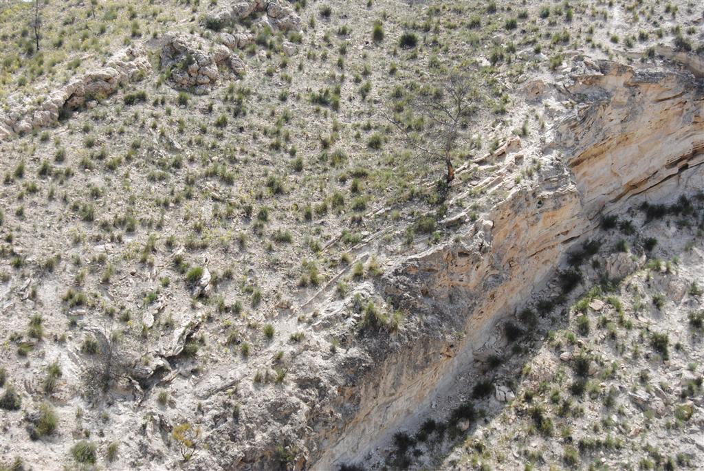 Detalle de la vista anterior