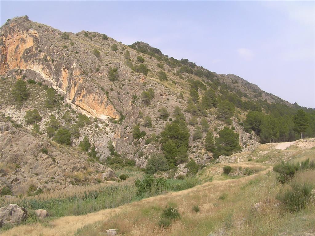 Los estratos de dolomías cretácicas de la Sierra del Molino, que buzan 30º hacia el sur, se ponen verticales en contacto con la Falla de Socovos, que coincide con el barranco