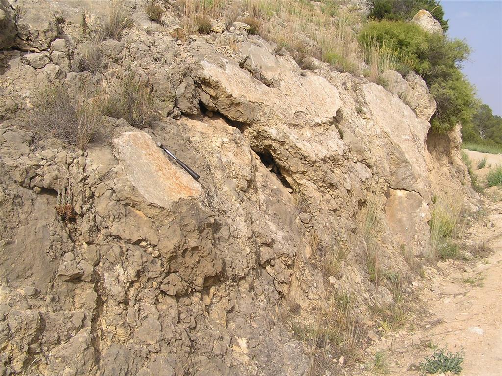 Plano de falla de la F.S. con vergencia norte, en las dolomías cretácicas, en donde se aprecian estrías verticales, mineralizaciones de hierro y brechas