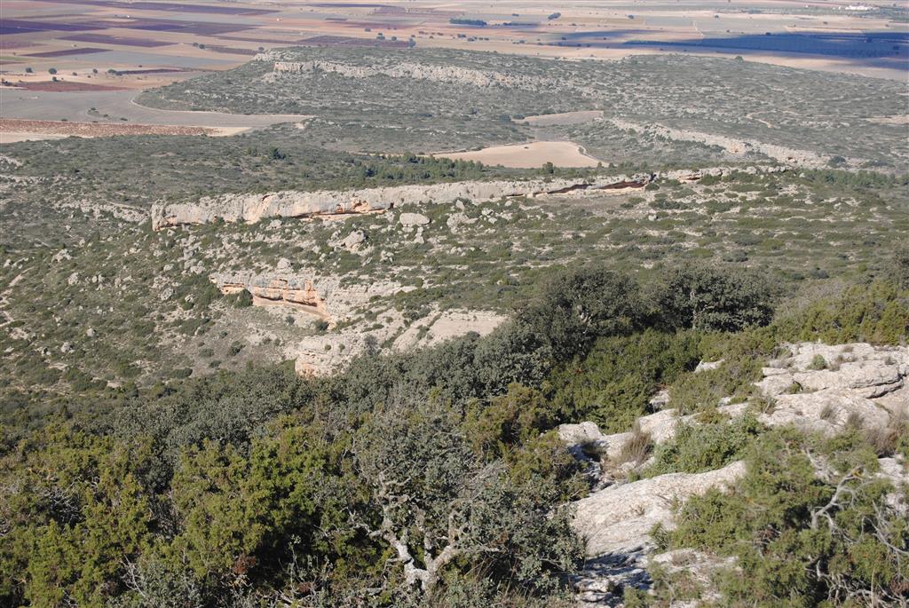 Discordancia progresiva en las calizas arenosas del paraje del Colmenar de Navajas, flanco occidental del Mugrón (al sur de la sierra)