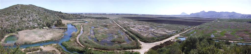 Panorámica del marjal desde el alto de La Muntanyeta (Autor: J.A. Domínguez).