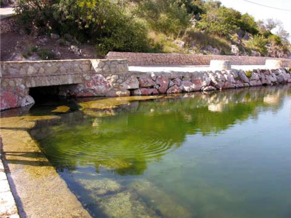 Manantial Font Salada, uno de los tres ullals principales que drenan el acuífero Almirante-Mustalla,situado al norte del marjal y que dan lugar al río Bullent-Veda (Autor: B.J. Ballesteros).