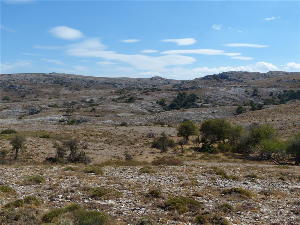 Campo de dolinas del cerro Viboreros (UTM ETSR89: 550595, 4254132)
