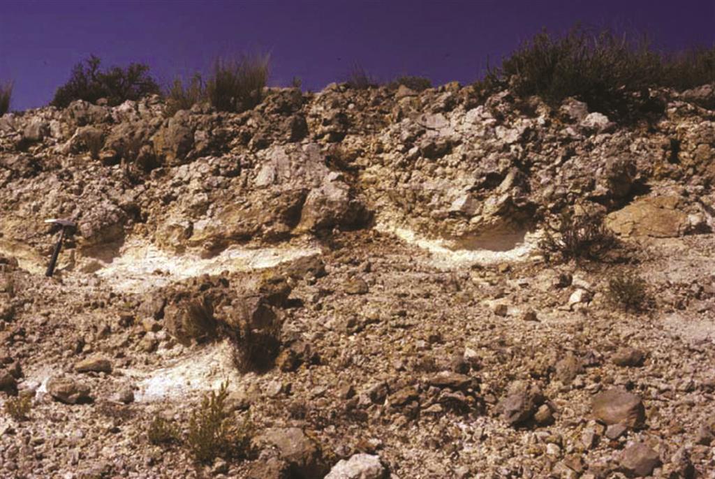 Detalle de la Formación Alarcón, con niveles de carbonatos “chalky”
de origen edáfico y aspecto general noduloso. Sección de referencia
para el Prebético de esta formación. Sierra de las Moratillas
