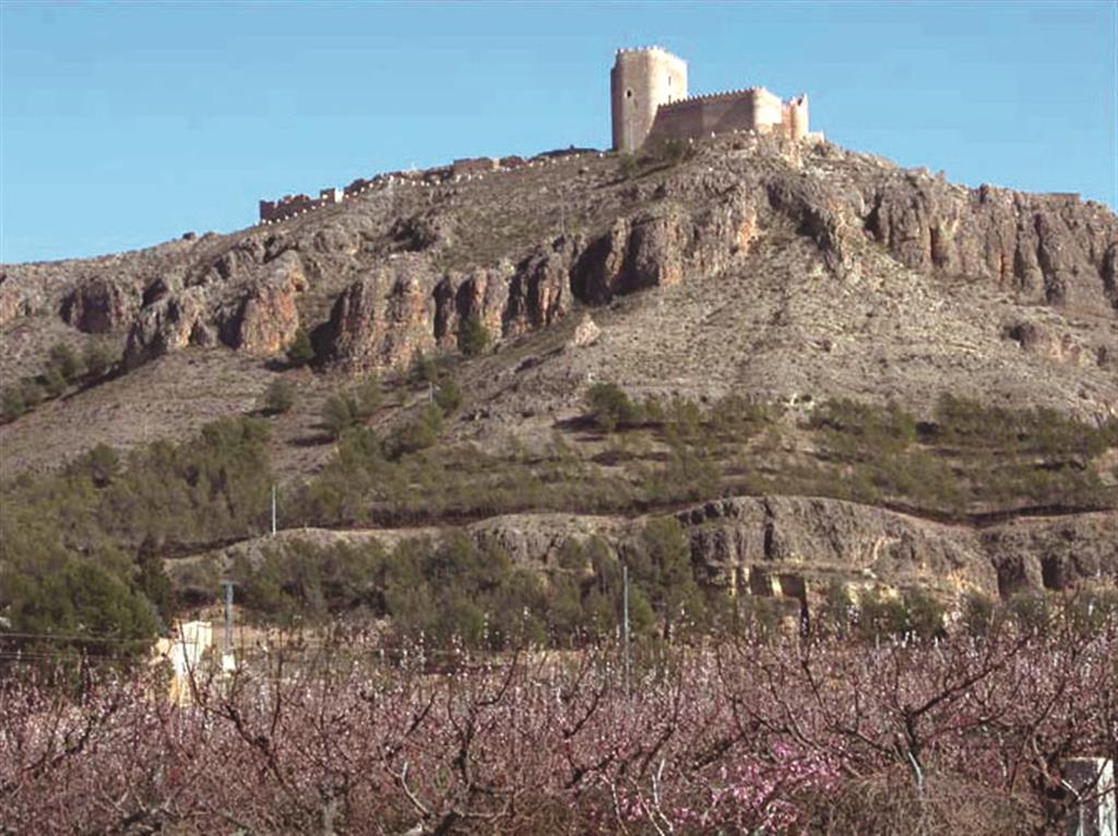 Vista general de la ladera occidental del Cerro del Castillo, mostrando la serie del Albiense terminal y Cenomaniense inferior (formaciones Jumilla, Chera y Alatoz)