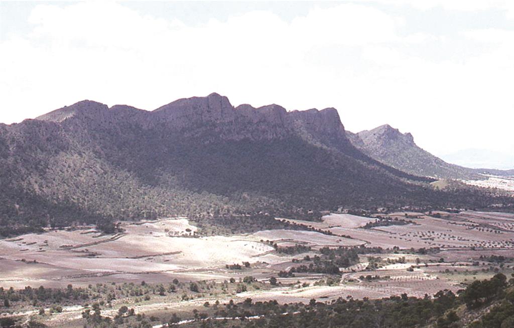 Vista general del flanco oriental de la estructura de Sierra Larga y de la llanura
donde se desarrolla el eje de la antiforma desde el monte de Santa Ana.