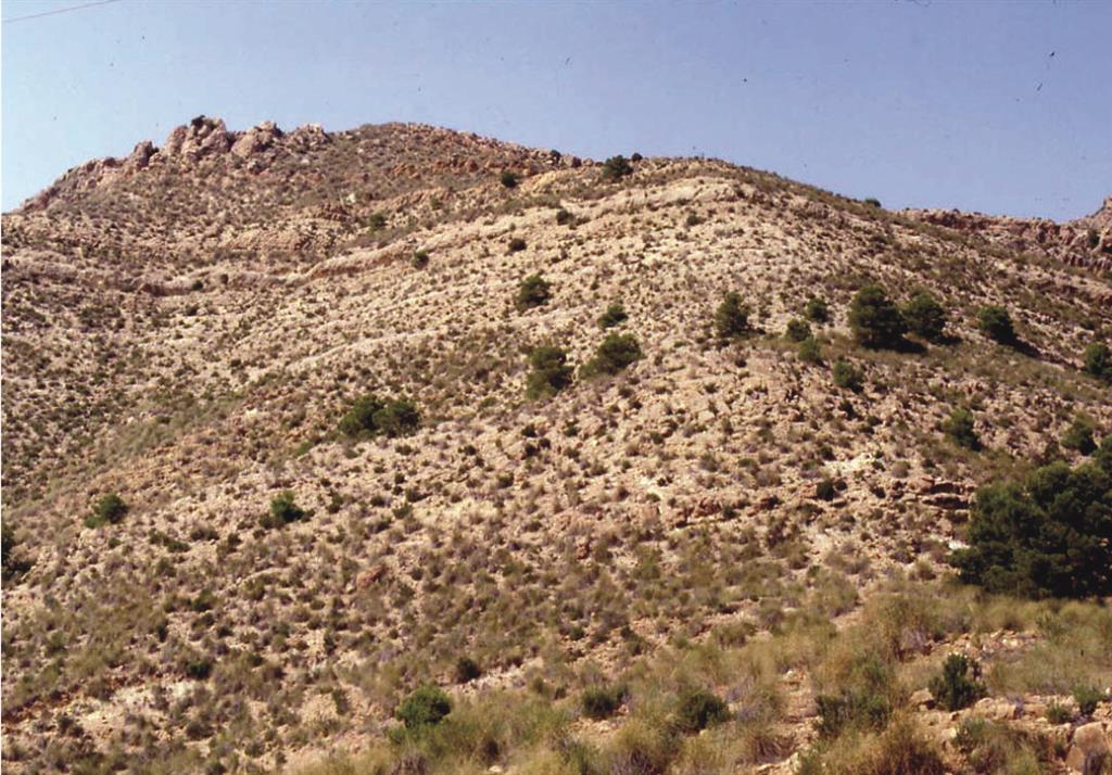Vista general del afloramiento de calizas de Rudistas del Albiense medio (Fm. Sácaras). En la zona superior aflora la Fm. Jumilla y las dolomías del Cenomaniense inferior (Fm. Alatoz).