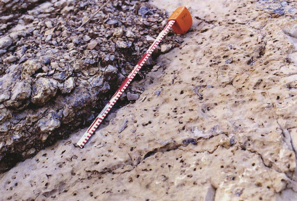 Ejemplo de registro de interrupción sedimentaria con perforaciones y acumulación de Ostreidos. Aptiense superior