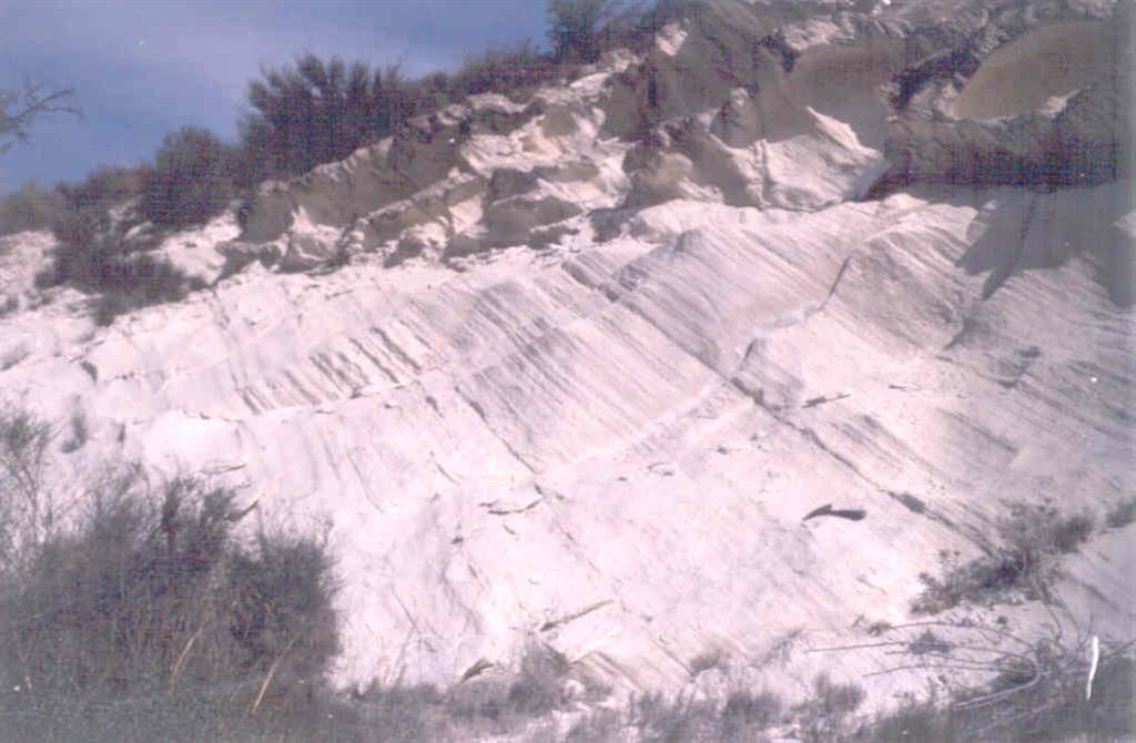 Laminaciones en las margas blancas del Mioceno.