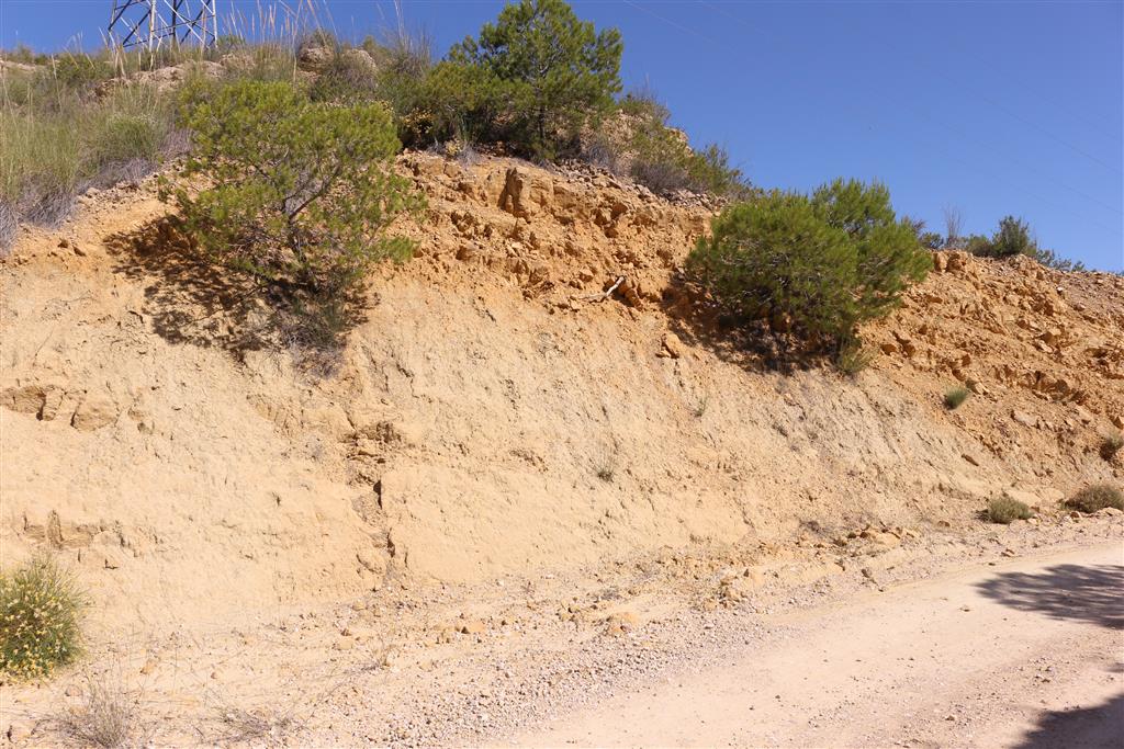 Detalle de los niveles dolomíticos y margosos del Vraconiense (Albiense superior)
