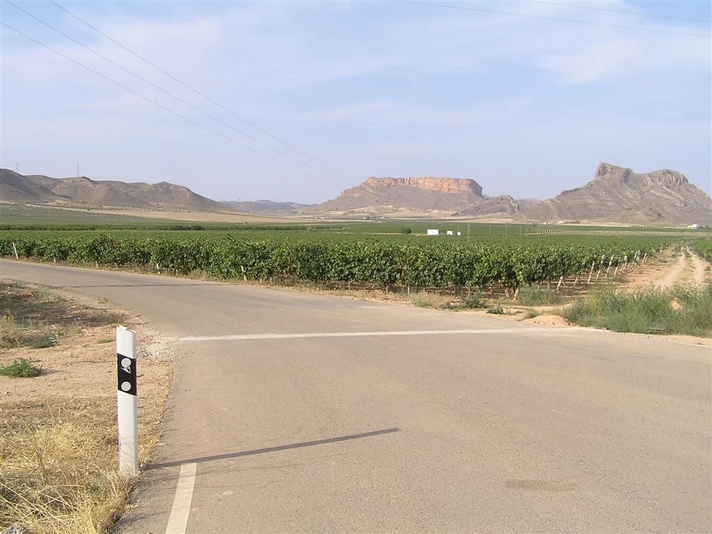 Pliegues muy evolucionados próximo a la carretera de Jumilla a Ontur. A la izquierda, calcarenitas miocénicas horizontales de la Sierra de la Peñarrubia