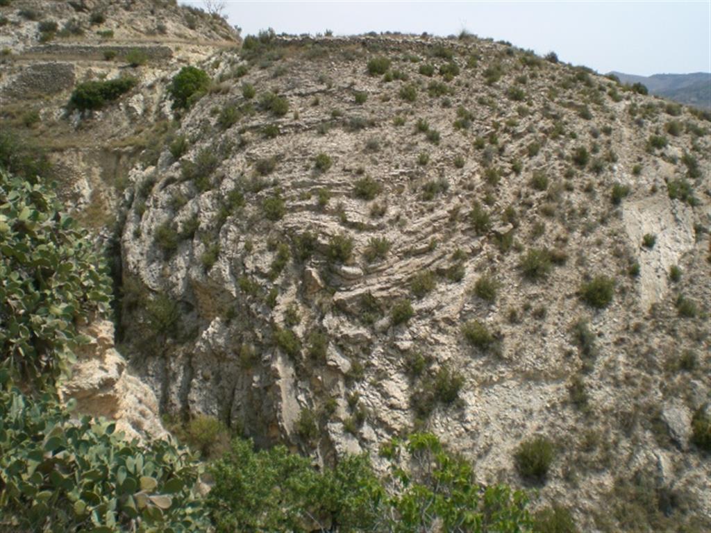 Anticlinal tumbado de margocalizas del Senoniense en la Garrapacha