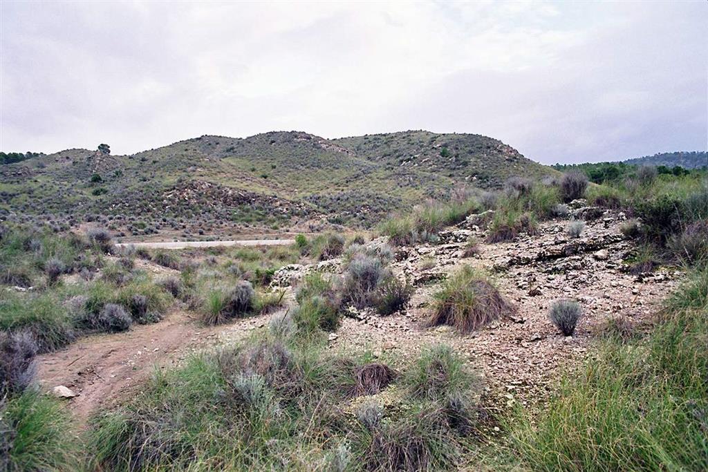 Resalte topográfico asociado a afloramientos de coladas de jumillitas, al SW de las minas de La Celia (Foto F. Bellido)