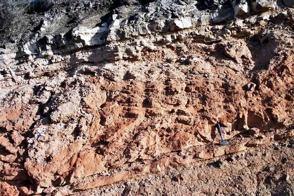 Depósitos hidromagmáticos de color rojizo-anaranjado con laminación cruzada de "surge" y estructuras de impacto de bombas, bajo materiales volcánicos jumillíticos encalichados, de color grisáceo" (Foto F. Bellido)