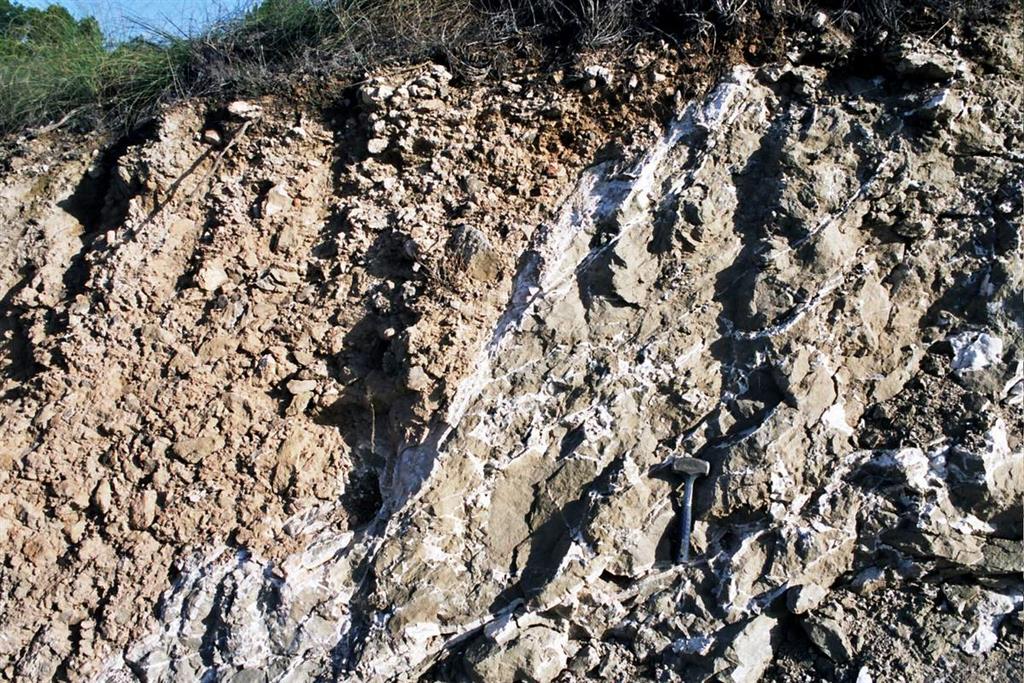 Falla con plano calcificado en el contacto entre depósitos volcanosedimentarios con venulación de calcita y brecha de escorias y fragmentos de rocas volcánicas (Foto F. Bellido)