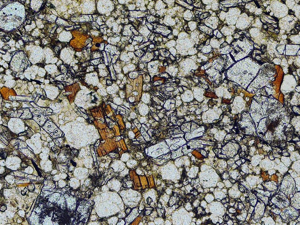 Cristales de feldespatoides, flogopita, clinopiroxeno y olivino en jumillita. (NPx10). Localidad, Jumilla. (Muestra 11017-ILM) Foto. J.L Brändle
