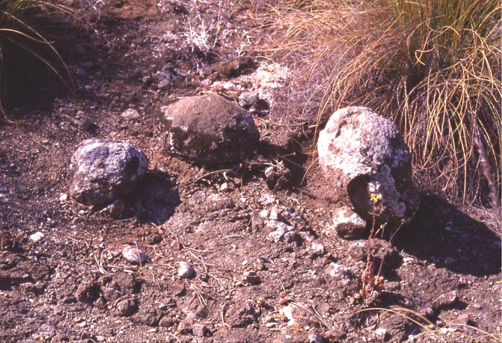 Afloramiento con bombas volcánicas en La Celia