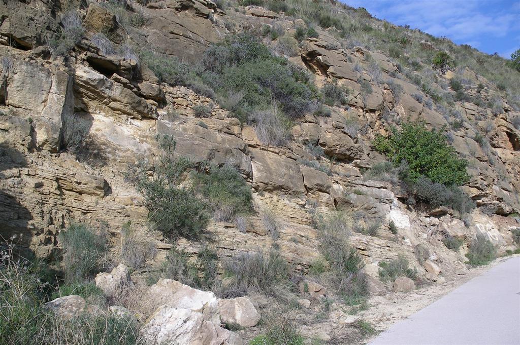Afloramiento de calcarenitas del Mb Helada en el camino del faro del Albir