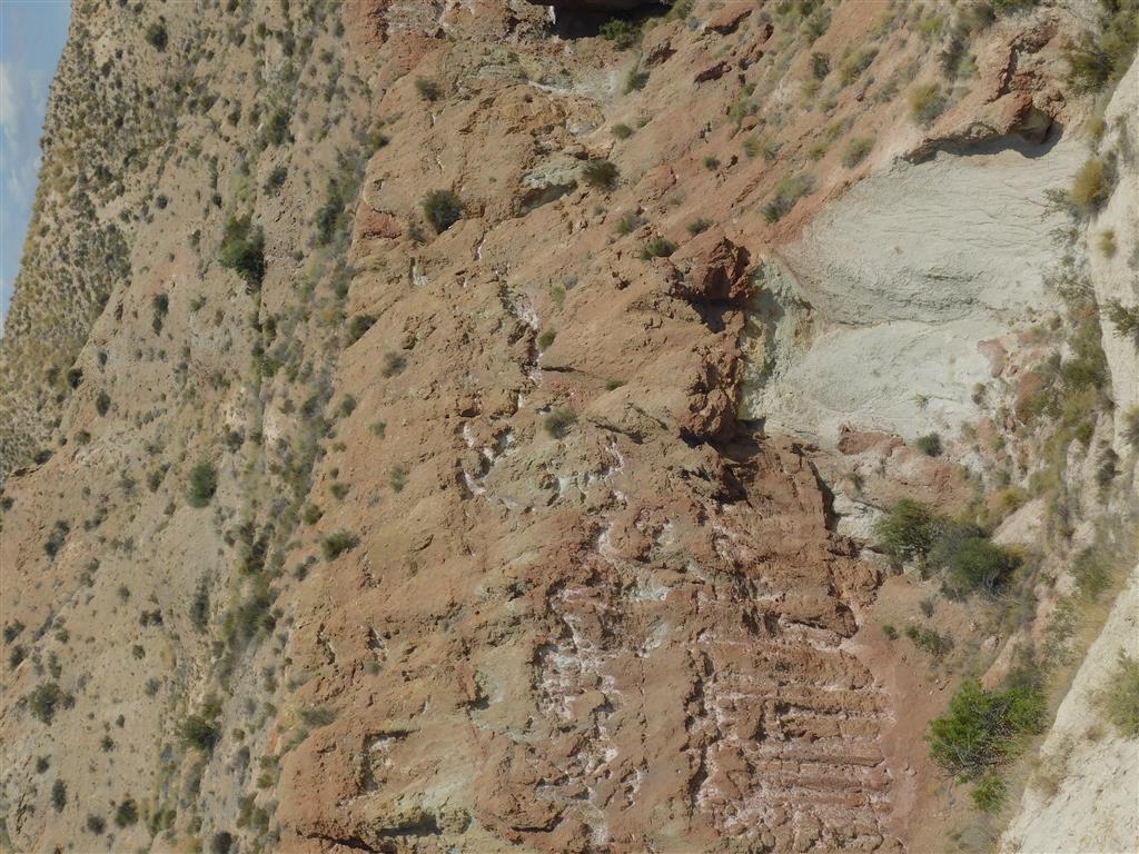 Detalle del fondo del valle de les Algepseres en el que se ve claramente a las arcillas triásicas sobre las margas cretácicas. Fotografía Gonzalo Lozano. 2019