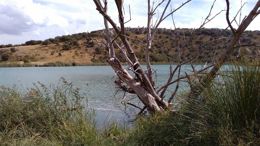 El perímetro de la lámina de agua está orlado por juncos. En los relieves circundantes se aprecian los afloramientos carbonatados de las margas, calizas, dolomías y yesos del Lías medio.(13-9-2016)