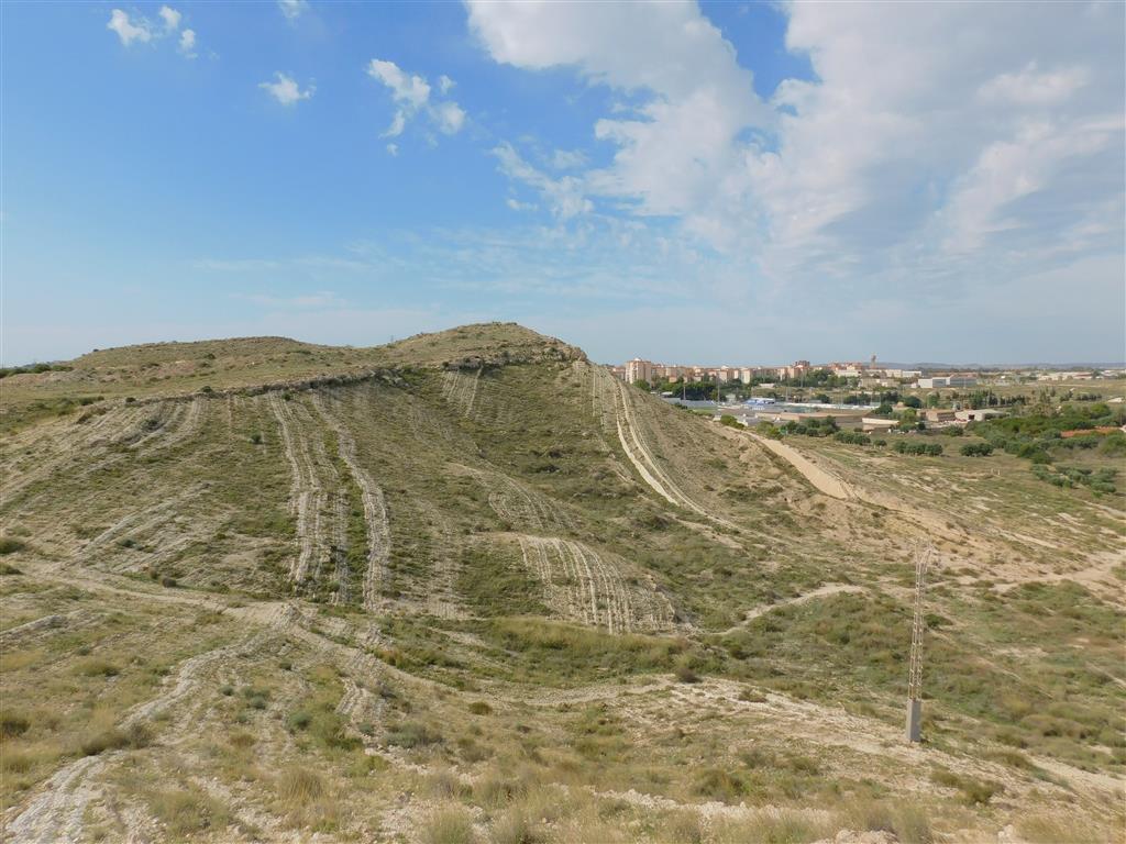 Vista de la discordancia de Villafranqueza (Plioceno sobre Eoceno) en las Lomas del Garbinet (Foto tomada desde X-719935 Y-4251290 en sentido sur/ Año 2019)