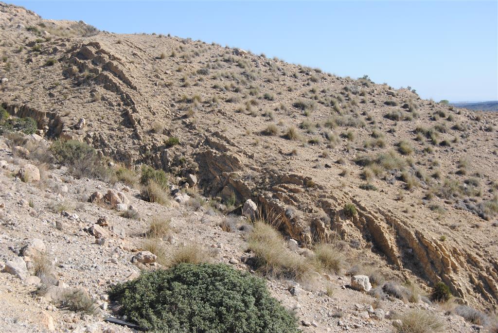 Detalle del tránsito Jurásico superior-Berriasiense. Sierra de Fontcalent