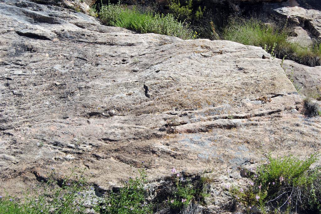 Estratificaciones en surco en las biocalcarenitas del Mioceno Medio-Superior