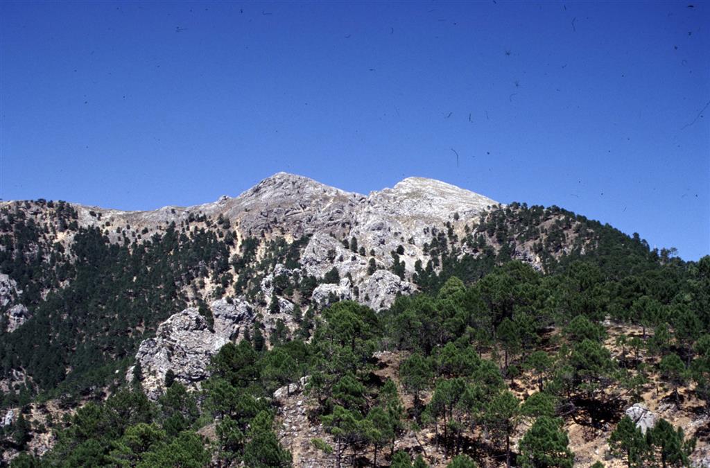 X: 540.992  Y: 4.260.373 Vista panorámica hacia el norte (Esquina noreste de la Hoja de Siles-865). Pico de la Sarga formado por calizas y dolomías del Dogger