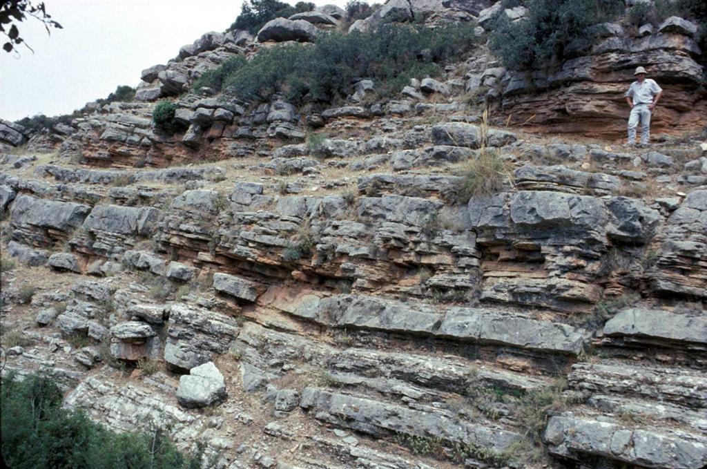 Sucesión del Jurásico superior de la ventana tectónica de Huelma. Se trata en su mayoría de calcarenitas interpretadas como turbiditas calcáreas.