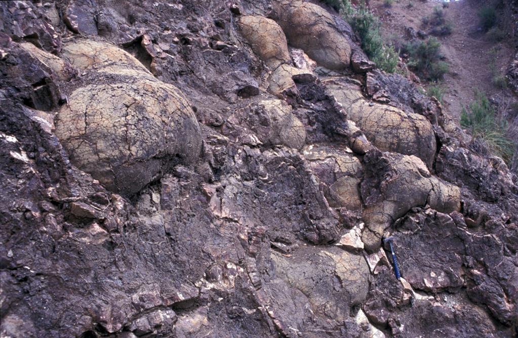Detalle de las lavas almohadilladas en el Barranco de Los Lobos al sureste de Huelma (Jaén). Se aprecia la morfología de estas estructuras volcánicas submarinas, que en sección aparecen como ovoidales o esferoidales pero que corresponden realmente a tubos