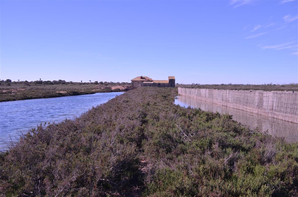 Canal de conexión con la laguna de Torrevieja (extremo suroeste de la laguna de La Mata)